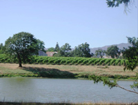 Agriculture pond