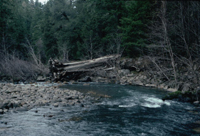 South Fork Eel River