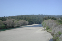 Gualala River 2003