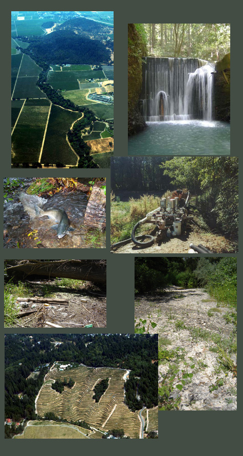 Napa River photo mosaic