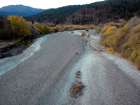 Scott River nearly dry