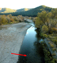 Salmon Redd in Scott River